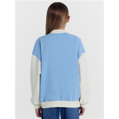 ТОЛСТОВКА ДЛЯ ДЕВОЧЕК 167739/1