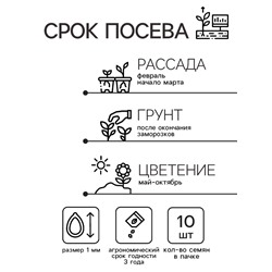 Семена цветов Катарантус Пацифика  "Бургунди" 10 шт
