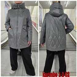 Куртка осень 1983617-4