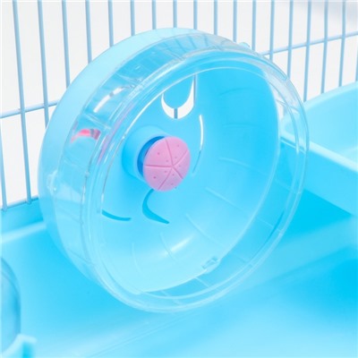 Клетка для грызунов «Пижон», 47×30×27 см, с наполнением, пластик, металл, голубая