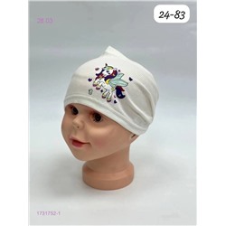 шапка 1731752-1