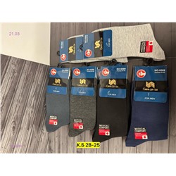 Носки мужские 10 пар 1903384-1