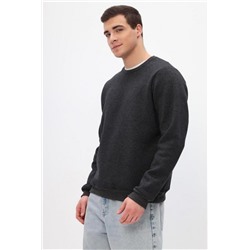 Толстовка мужская Бронд Г Арт. 10263