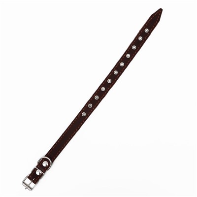 Ошейник однослойный, безразмерный, 56×2.5 см, ОШ 17-44 см, кожа, коричневый