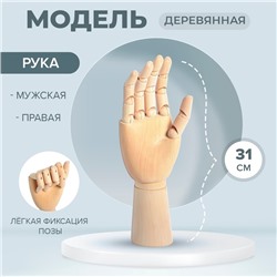 Модель деревянная художественная Манекен «Рука мужская правая» 31 см