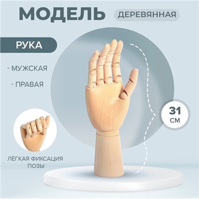 Модель деревянная художественная Манекен «Рука мужская правая» 31 см