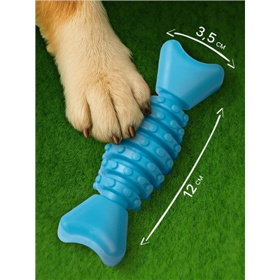 Игрушка жевательная «Конфетка», TPR, 12 см, голубая