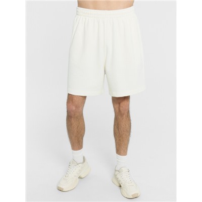 ШОРТЫ МУЖСКИЕ 131093