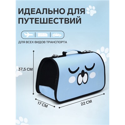 Сумка-переноска каркасная «Сонный пёсик», размер S, 37.5×17×22 см, голубая