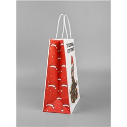 Пакет бумажный подарочный новогодний крафт, «Тот год пережили и этот переживем», 27×21×11 см