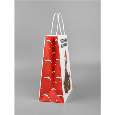 Пакет бумажный подарочный новогодний крафт, «Тот год пережили и этот переживем», 27×21×11 см