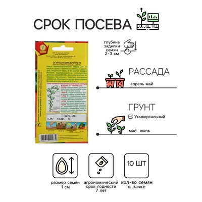 Семена Огурец "Чудо карапуз F1", 10 шт.