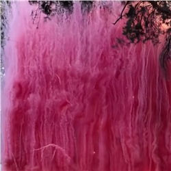 Фейерверк-шоу: Гендер Пати