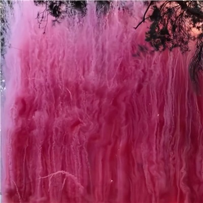 Фейерверк-шоу: Гендер Пати