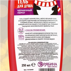 Гель для душа, 250 мл, аромат черничного пирога, URAL LAB