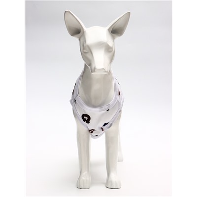 Футболка для животных «Мишка», M (ДС 30, ОГ 42 см), белая