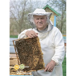 Мёд донниковый 35 гр.