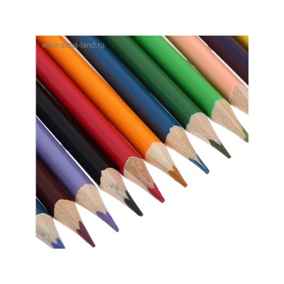 Карандаши Calligrata, цветные, двусторонние, 24 цвета, 12 шт., трёхгранные, деревянные