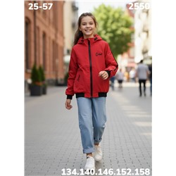 Ветровка 2550 красный