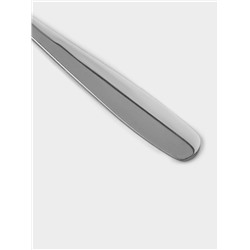 Набор чайных ложек Доляна «Симпли», длина 15.2 см, 6 шт., нержавеющая сталь, серебристый