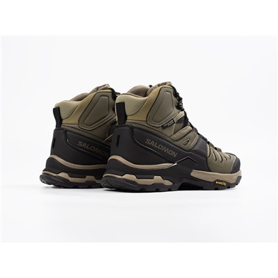 Зимние Ботинки Salomon Quest 4 GTX