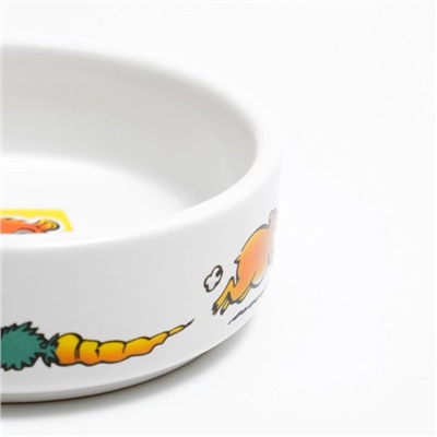 Миска для грызунов «Лакомство», 80 мл, 8.5×3 см, керамика, белая