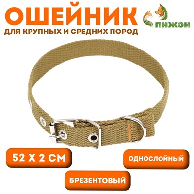 Ошейник брезентовый однослойный, 52×2 см, песочный