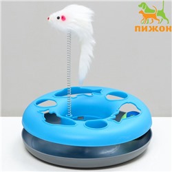 УЦЕНКА Игрушка для кошек «Загадочный круг - Рыбки», 23×7 см, голуб./серая