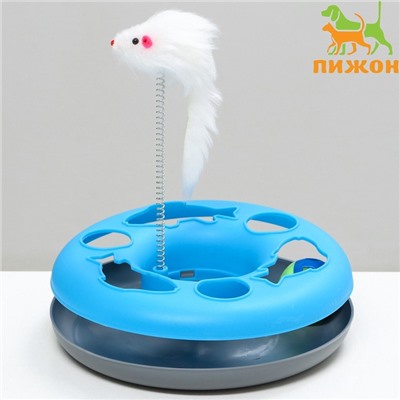 УЦЕНКА Игрушка для кошек «Загадочный круг - Рыбки», 23×7 см, голуб./серая