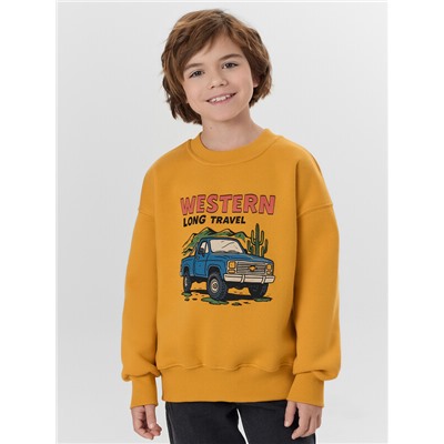 СВИТШОТ ДЛЯ МАЛЬЧИКОВ 123487