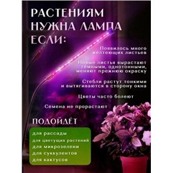 Комплект #23056224