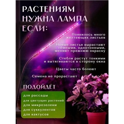 Комплект #23056224