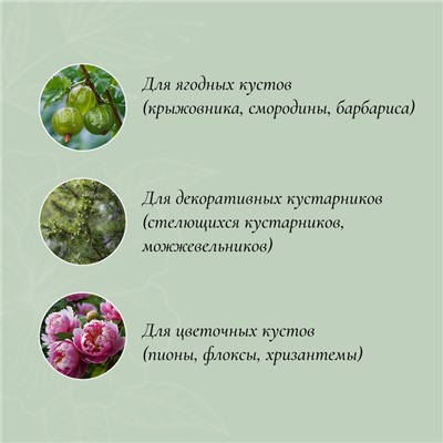 Кустодержатель, d=40 см, h=90 см, ножка d=1 см, металл, набор 2 шт., зелёный