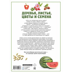 АСТ Спектор А.А. "Деревья, листья, цветы и семена"