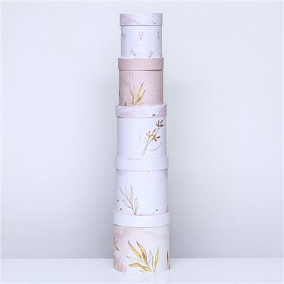 Набор круглых подарочных коробок 5 в 1 «Нежный образ», 20×20 -14×14 см