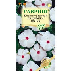 Катарантус Пацифика Полка (Гавр)
