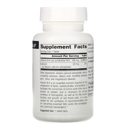 Source Naturals, B-6, 100 мг, 250 таблеток