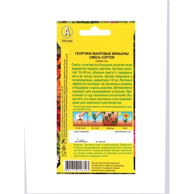 Набор семян цветов Георгина, махровая, низкорослая