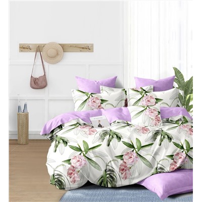 Текс-плюс КПБ Общий 00000000841