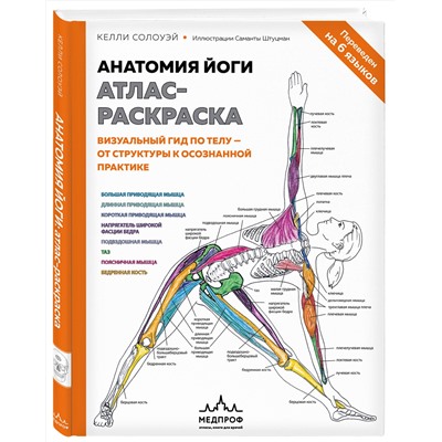 Эксмо Келли Солоуэй "Анатомия йоги: атлас-раскраска. Визуальный гид по телу — от структуры к осознанной практике"