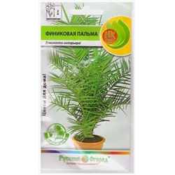 Финиковая Пальма (Код: 11384)