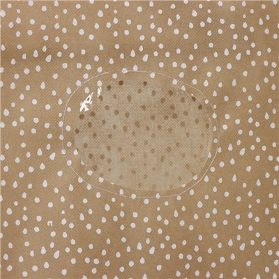 Чехол для одежды Доляна Points, ПВХ окно, 60×90 см, бежевый