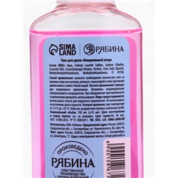 Подарочный набор новогодний «Новогодних чудес», гель для душа 2 шт.×100 мл, URAL LAB