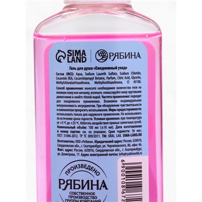 Подарочный набор новогодний «Новогодних чудес», гель для душа 2 шт.×100 мл, URAL LAB