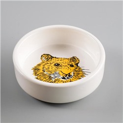 Миска для грызунов «Сытая мордочка», 80 мл 8.5×3 см, керамика, белая