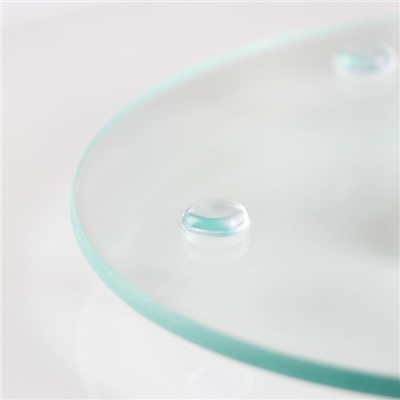 Подставка для торта вращающаяся Доляна «Тропики», d=32 см, стекло