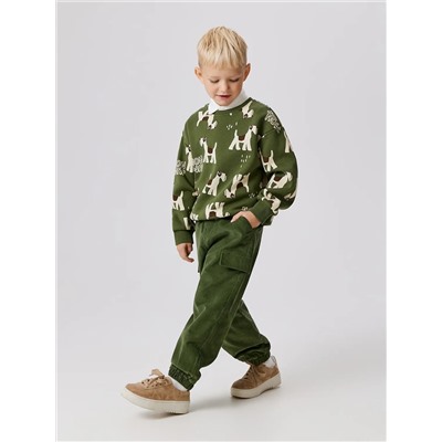 Acoola Брюки 20120160438