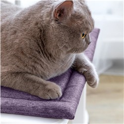 Волшебная Ночь Подушка для стула 923337