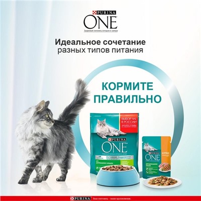 Сухой корм Purina One для домашних кошек, индейка/злаки, 3 кг