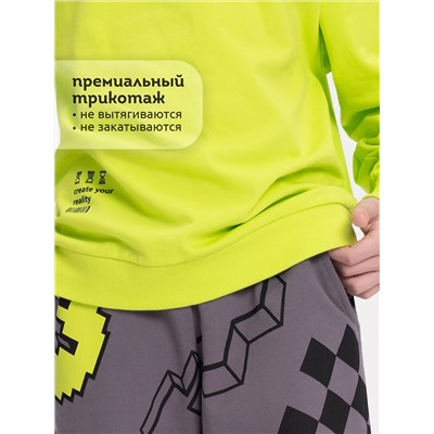 PELICAN Толстовка